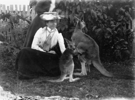 The big roos' feeding ground