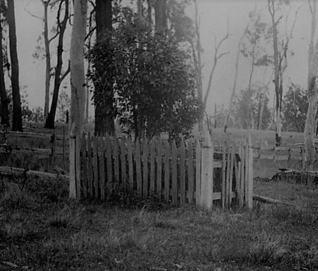 Death in the Bush